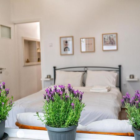 Lux Garden Apartment Near Acropolis In The Heart Of Athene Buitenkant foto